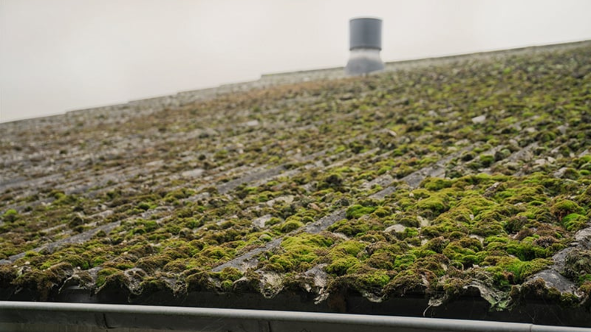 Pourquoi faut-il nettoyer sa toiture régulièrement ?