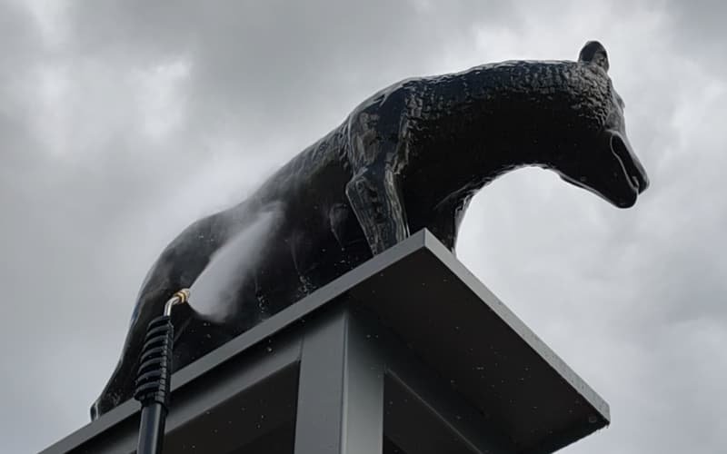 Le nettoyage vapeur permet de nettoyer en toute sécurité les monuments historiques