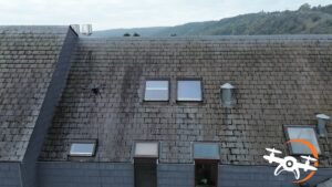 Démoussage toiture à Namur : le drone en action